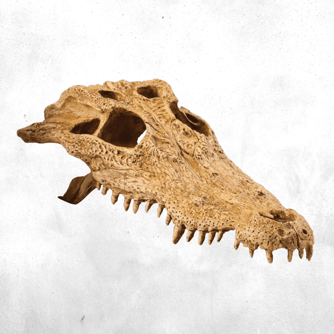 Exo Terra Crocodile Skull - Reptile Secure Hiding Place