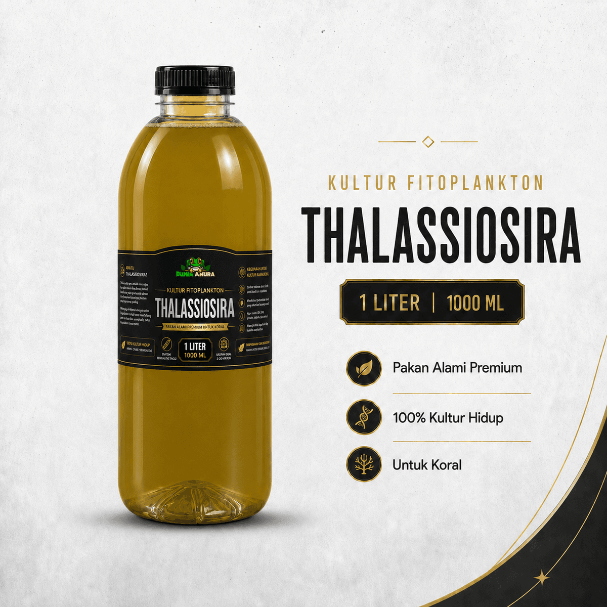 Thalassiosira Sp - Phytoplankton
