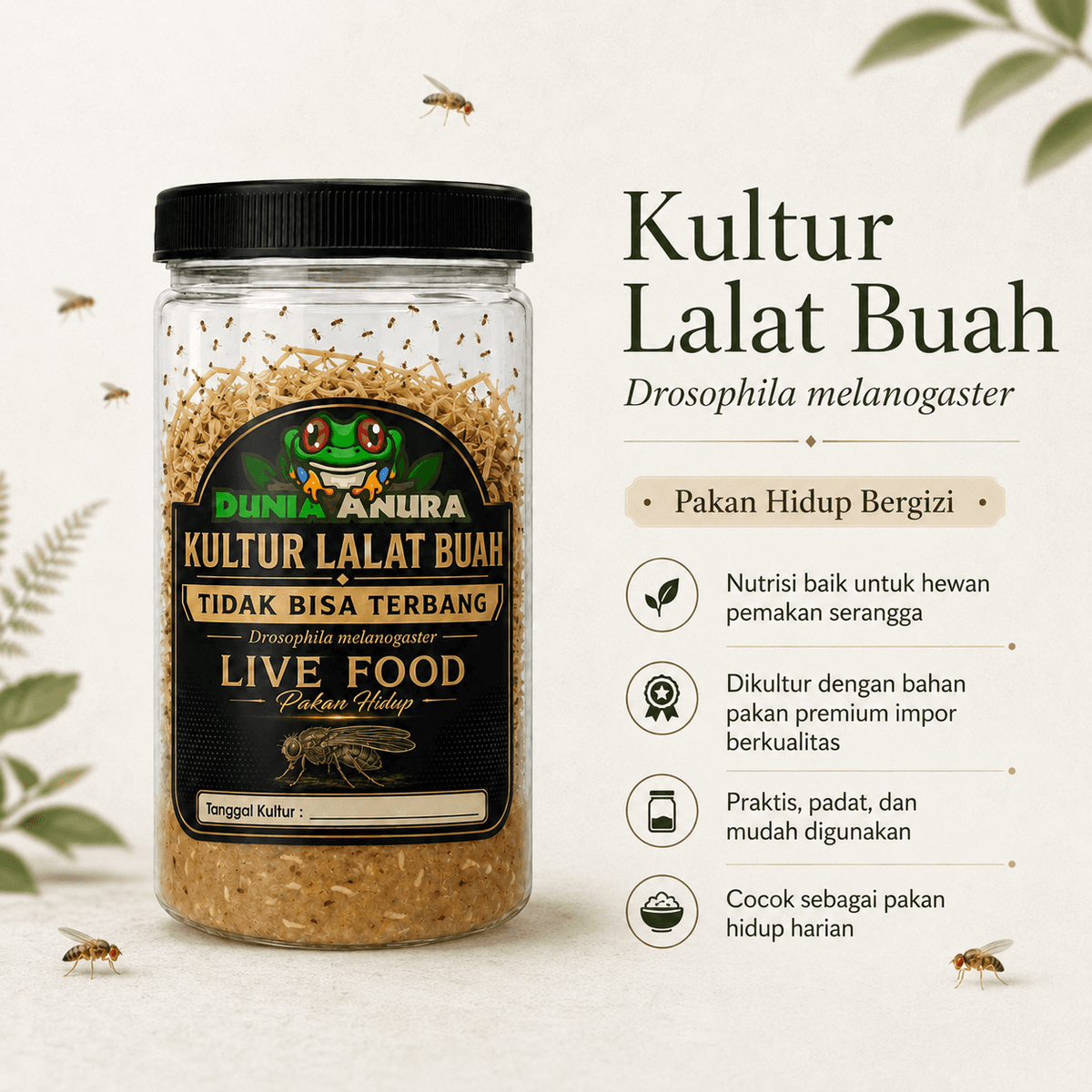 Drosophila melanogaster - live food
