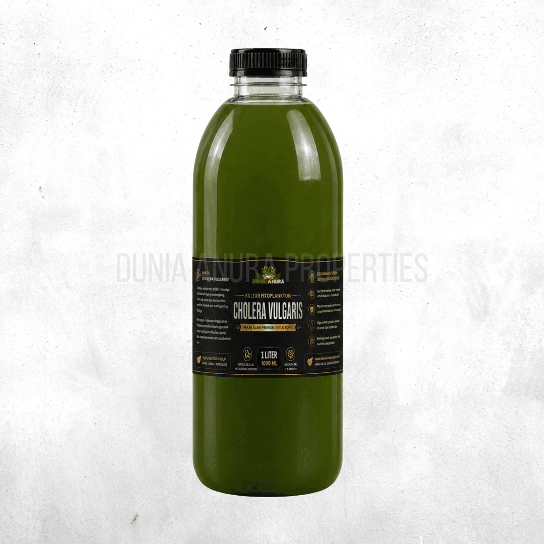 Chlorella Vulgaris