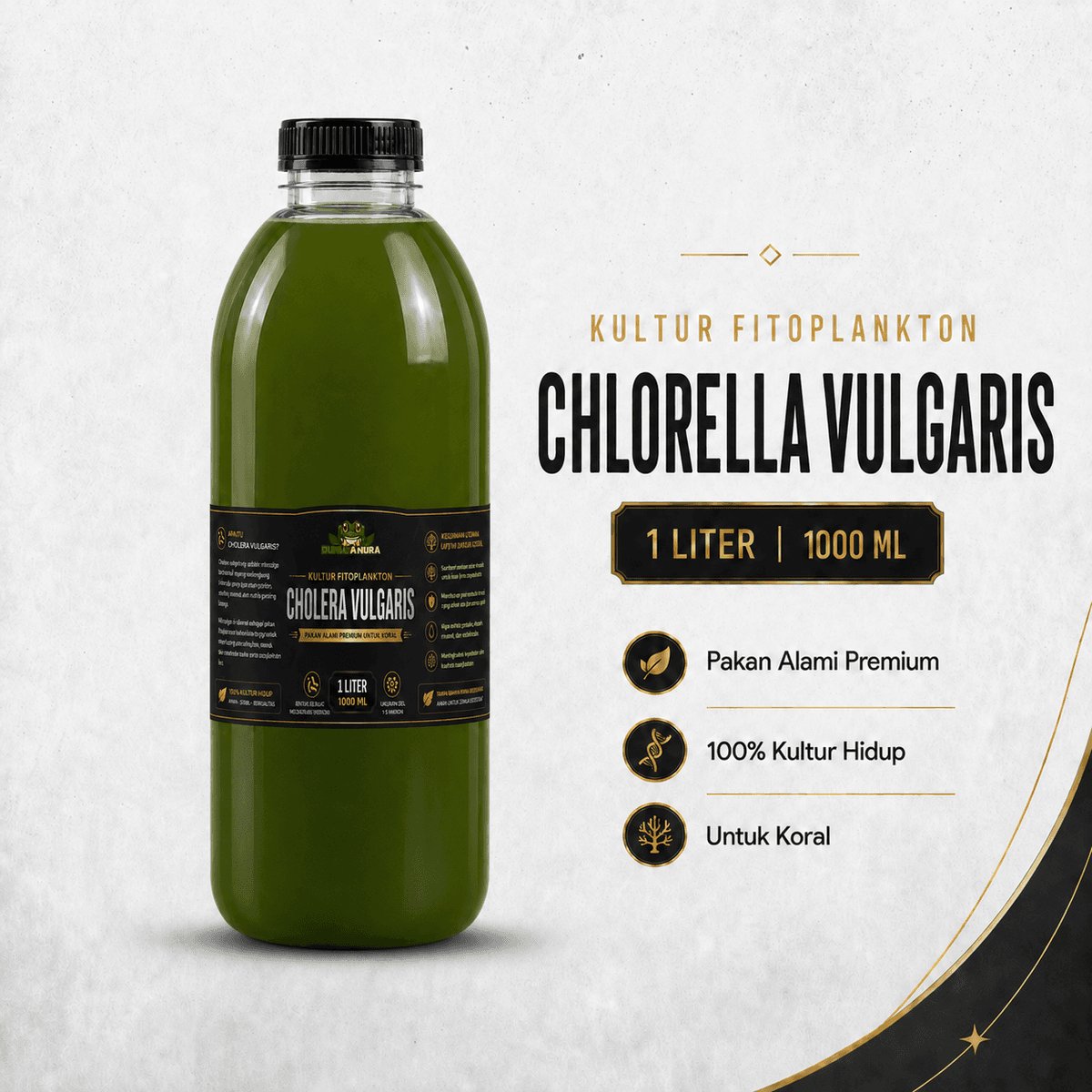 Chlorella Vulgaris