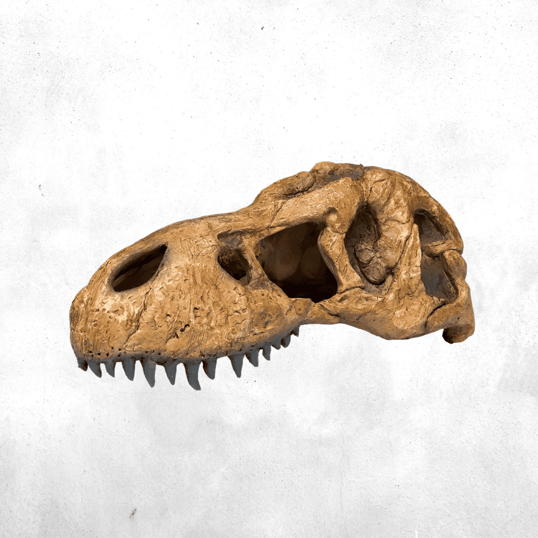 Exo Terra T-Rex Skull - Reptile Secure Hiding Place