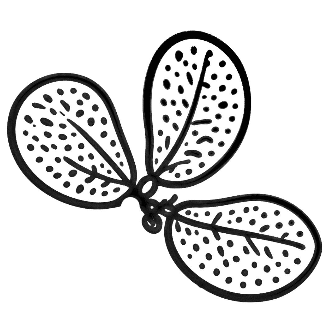 Sonerila