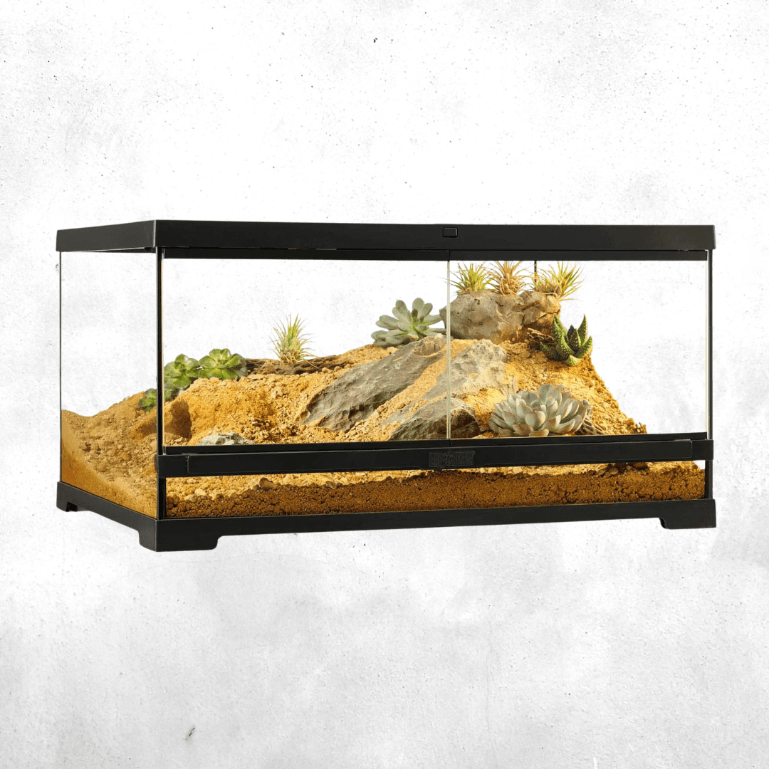 Exo Terra Pro Terrarium 60 x 45 x 30 Cm