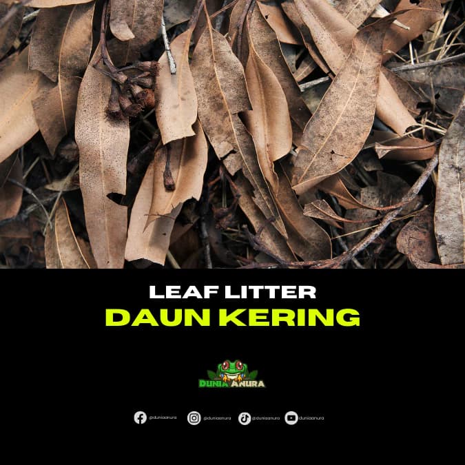 Bahan Daun Kering