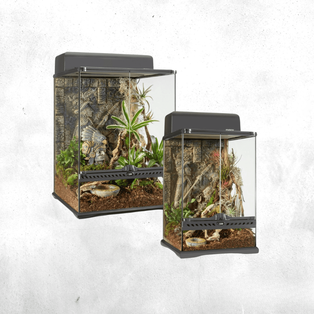 Exo Terra Aztec Series