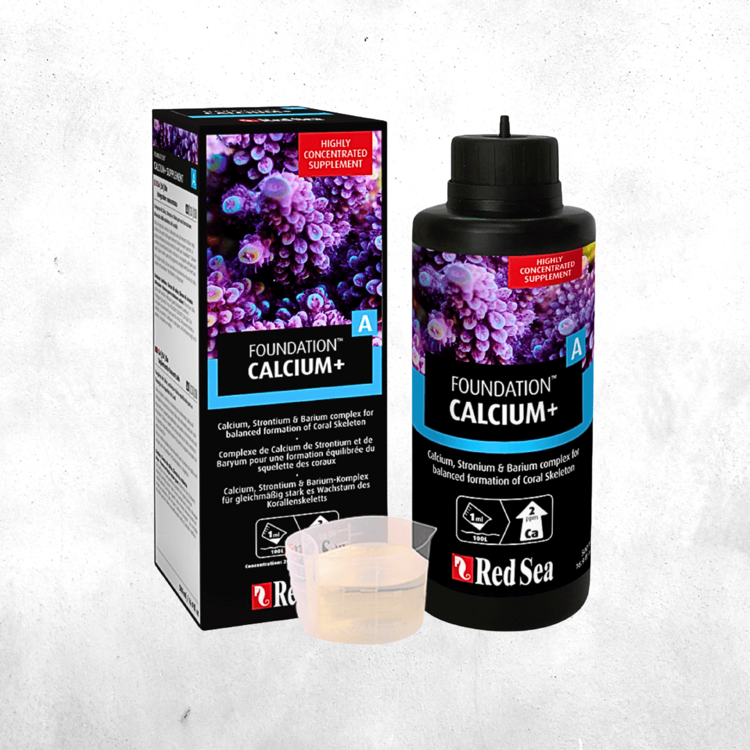 Red Sea Foundation A (Calcium plus)