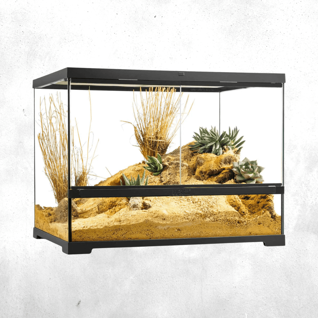 Exo Terra Pro Terrarium 60 x 45 x 45 Cm