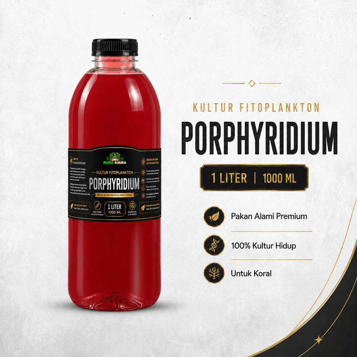 Porphyridium Sp - Phytoplankton