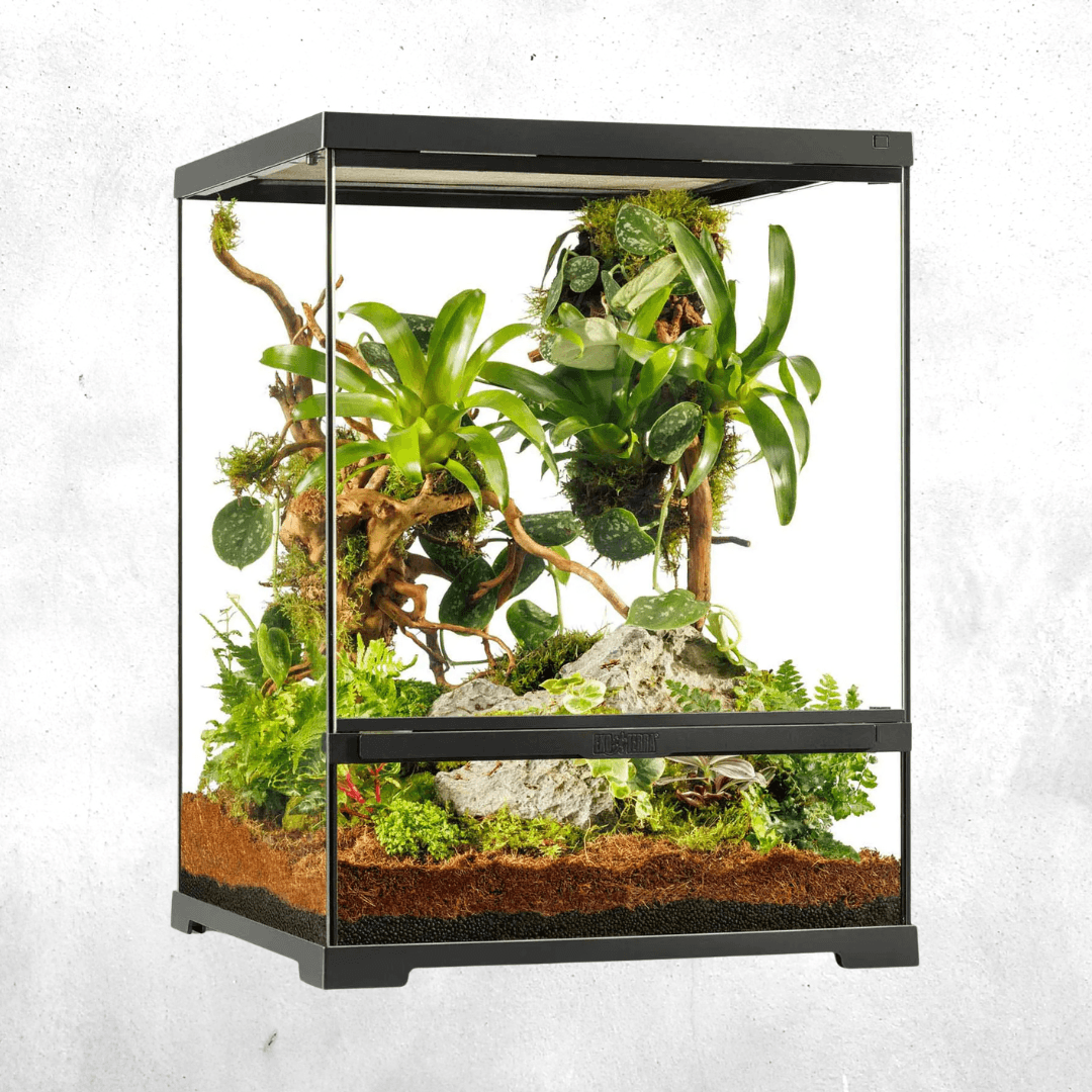 Exo Terra Pro Terrarium 45 x 45 x 60 Cm