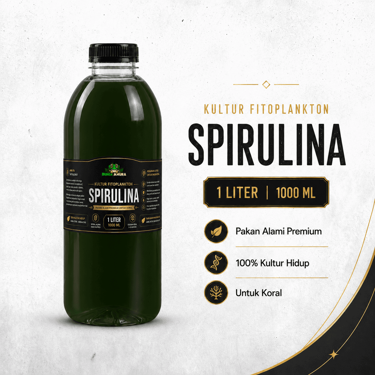 Spirulina Sp - Cyano Bactery