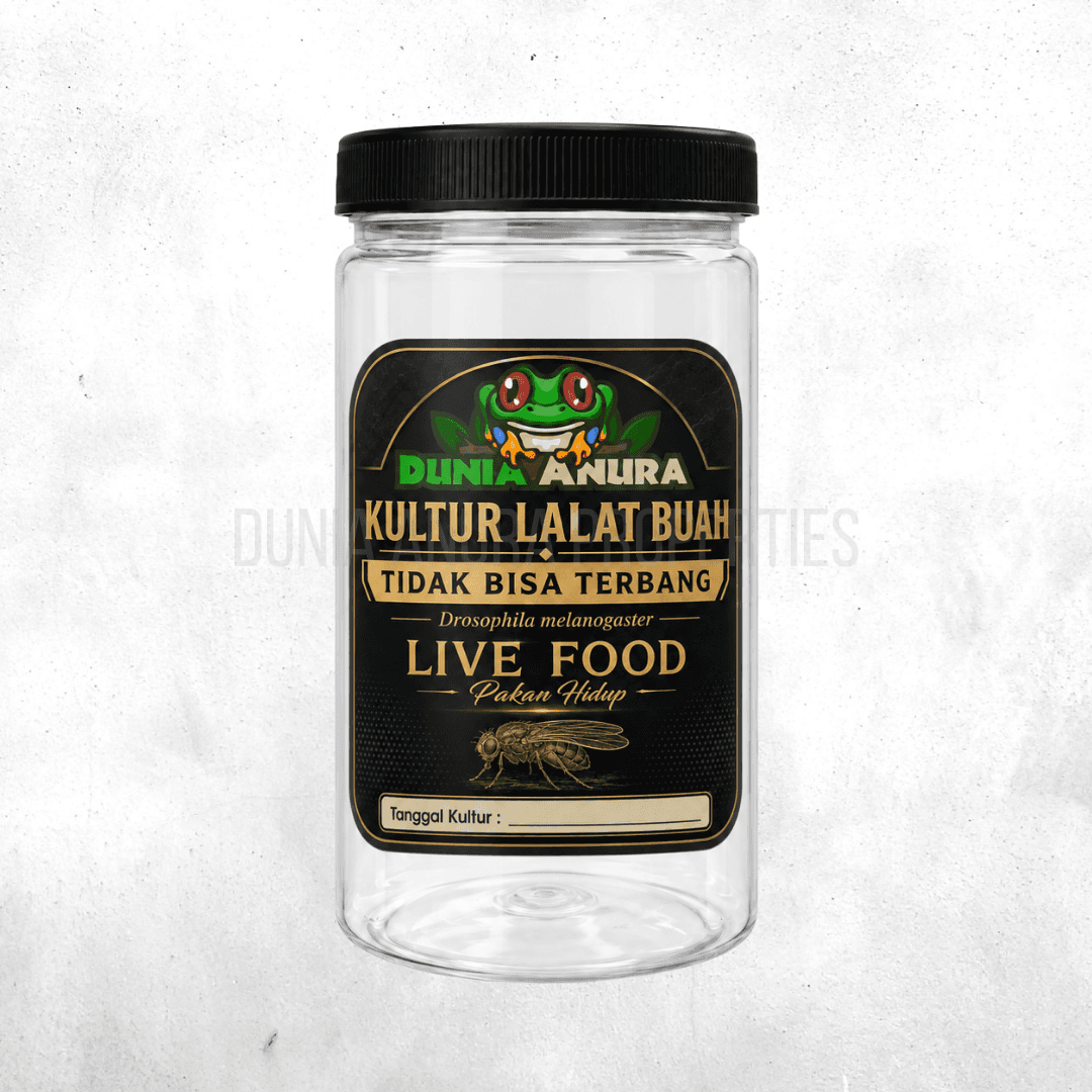 Kandang kultur lalat buah  - 1000 ML