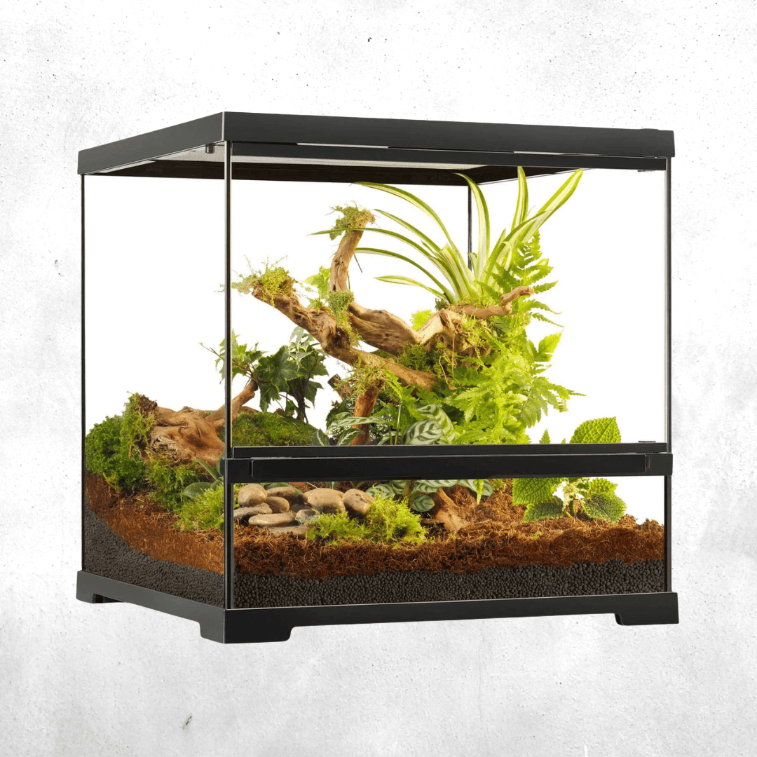 Exo Terra Pro Terrarium 45 x 45 x 45 Cm