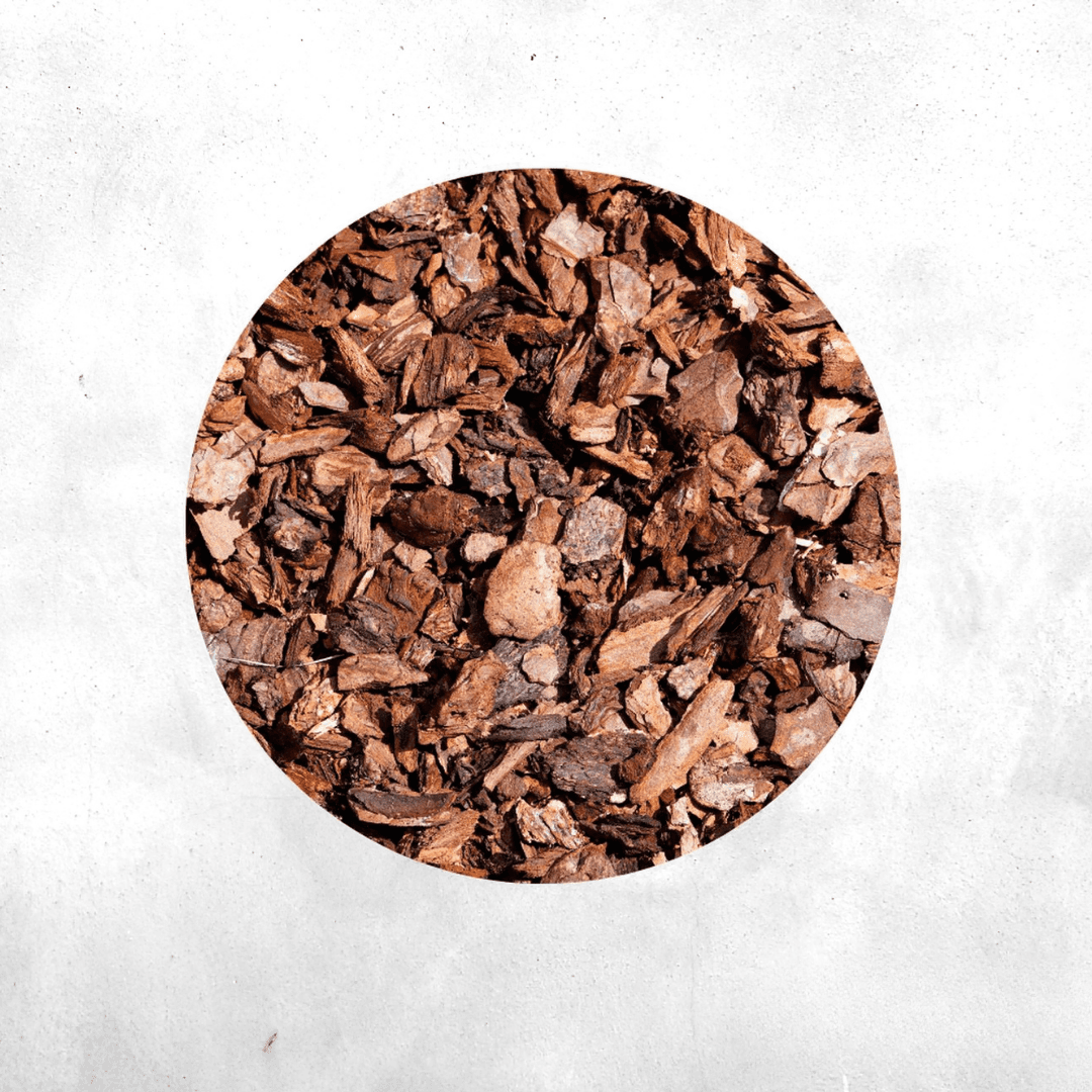 Forrest Bark - Natural Terrarium Substrate