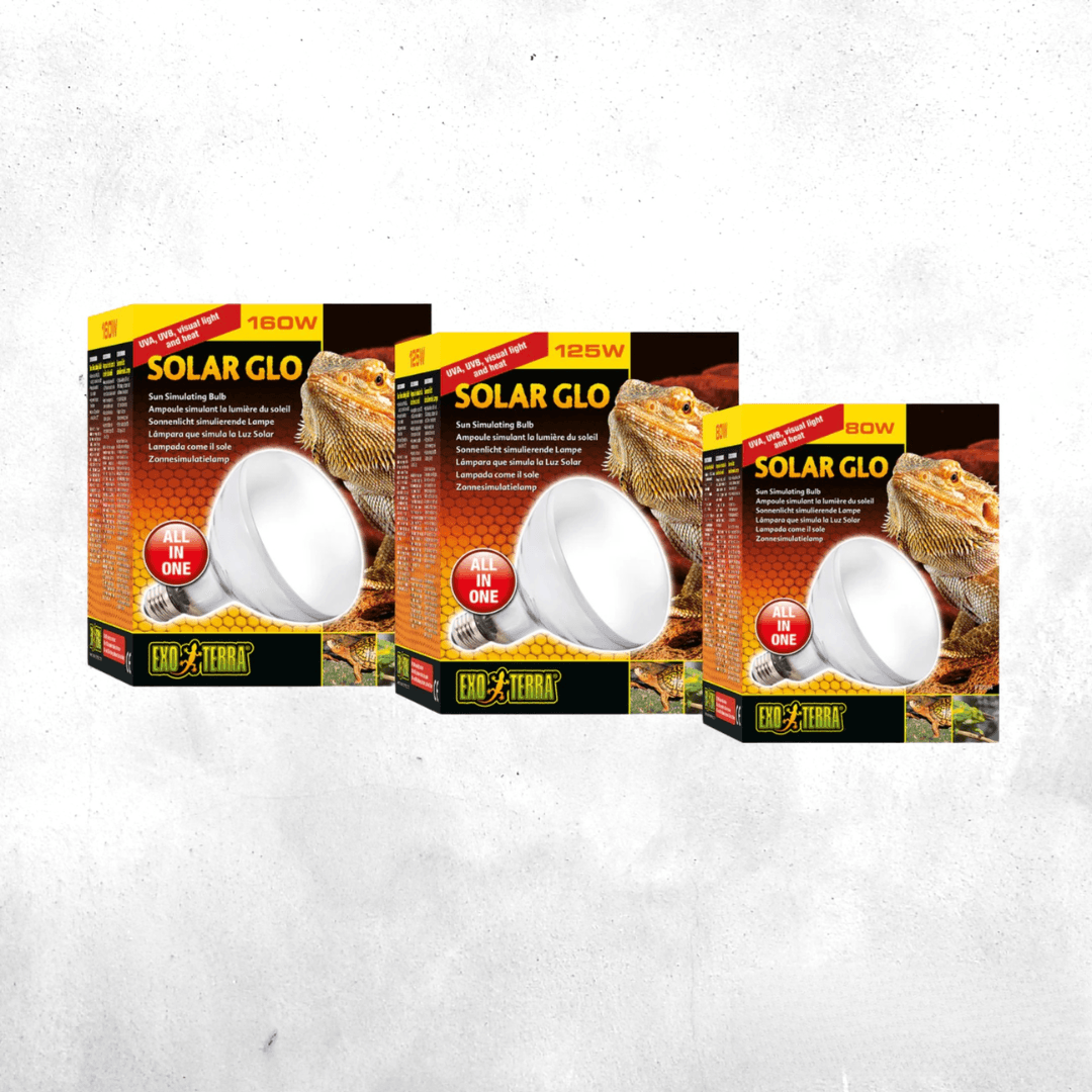 Exo Terra Solar Glo Wide Beam