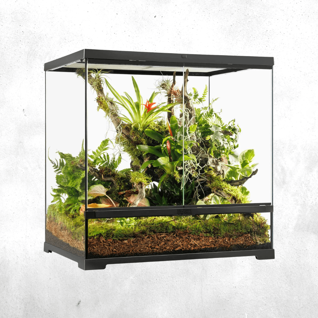 Exo Terra Pro Terrarium 60 x 45 x 60 Cm