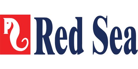 Red Sea Fish