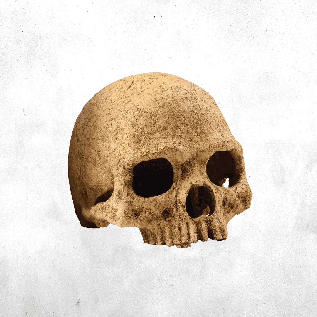 Exo Terra Primate Skull - Reptile Secure Hiding Place