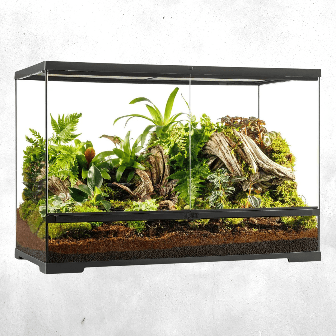 Exo Terra Pro Terrarium 90 x 45 x 60 Cm
