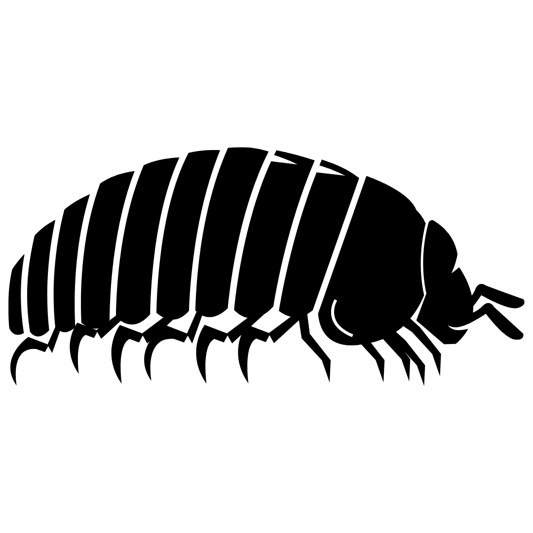 Isopod