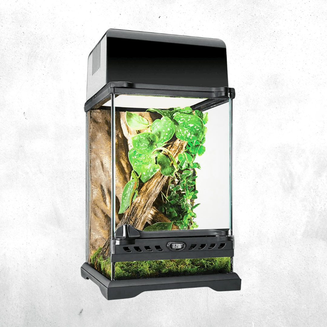 Exo Terra Natural Terrarium Nano Tall