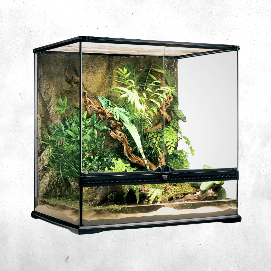 Exo Terra Natural Terrarium Medium Tall