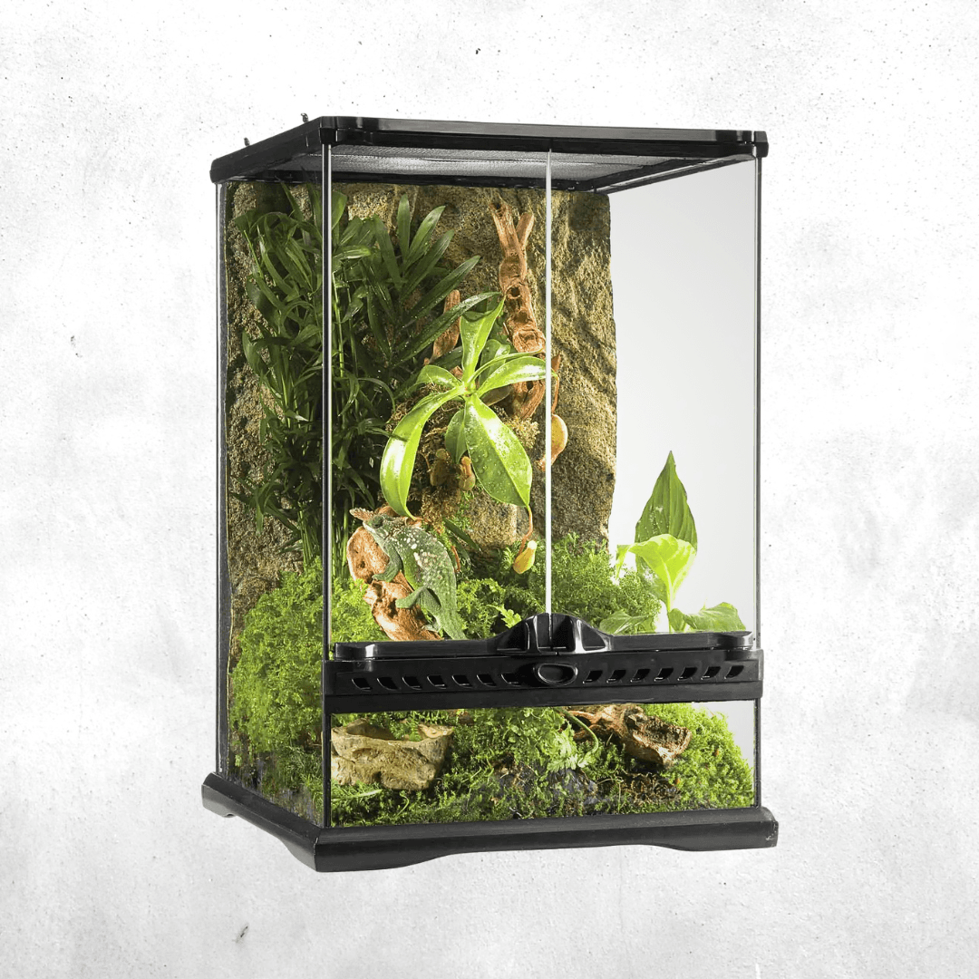 Exo Terra Natural Terrarium Mini Tall