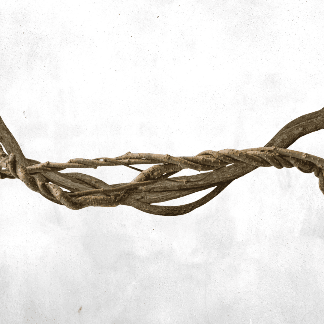 Natural jungle vine (real wood)