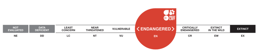 IUCN status terancam