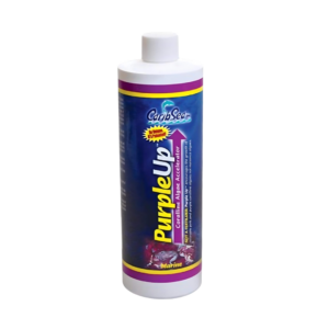 Caribsea purple up 473ml