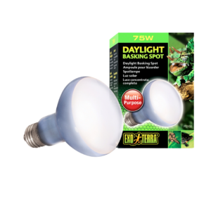 EExo Terra Day light Basking Spot Lamp 75 Watt