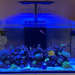 Kessil AP9X