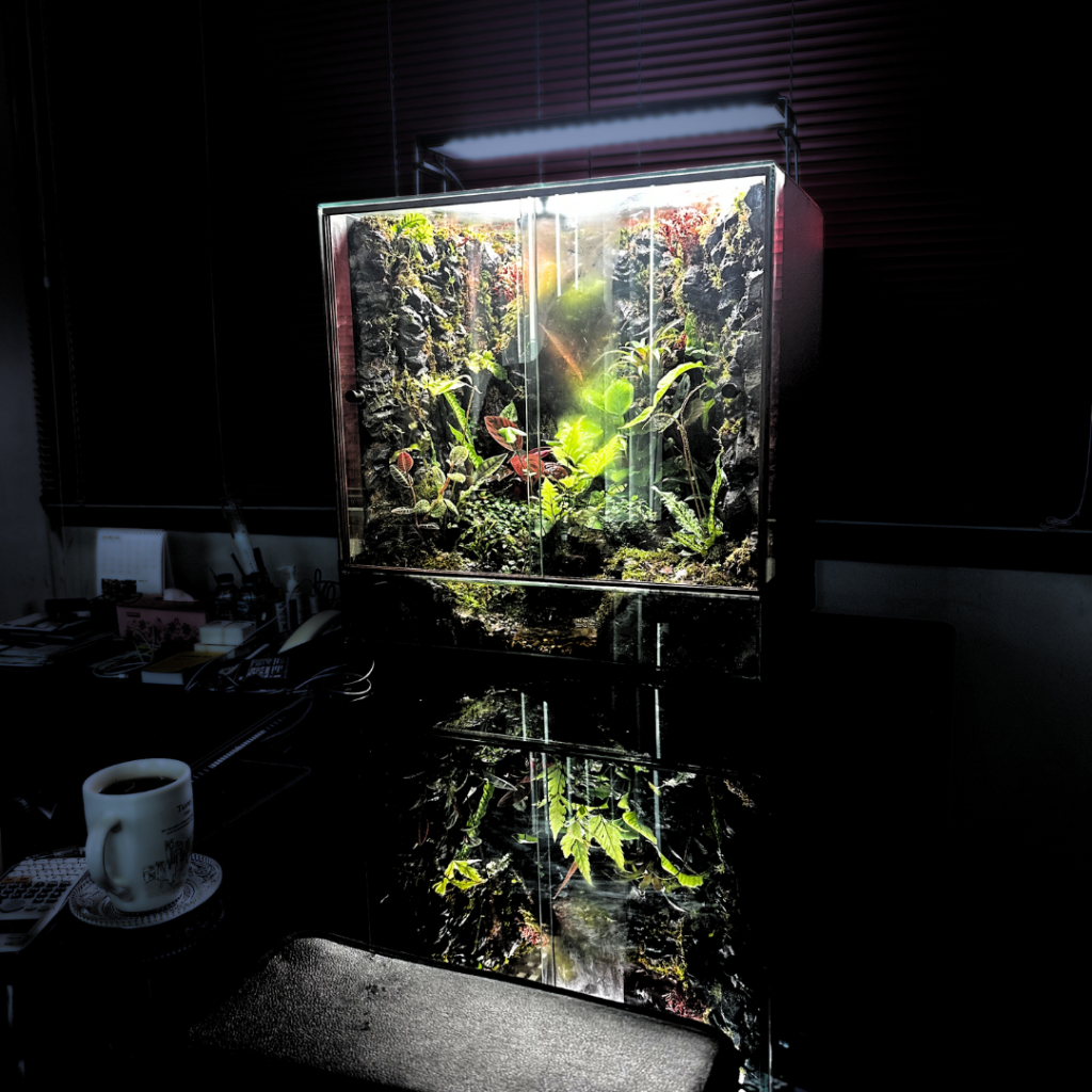 DartFrog terrarium by Bebz Waraney